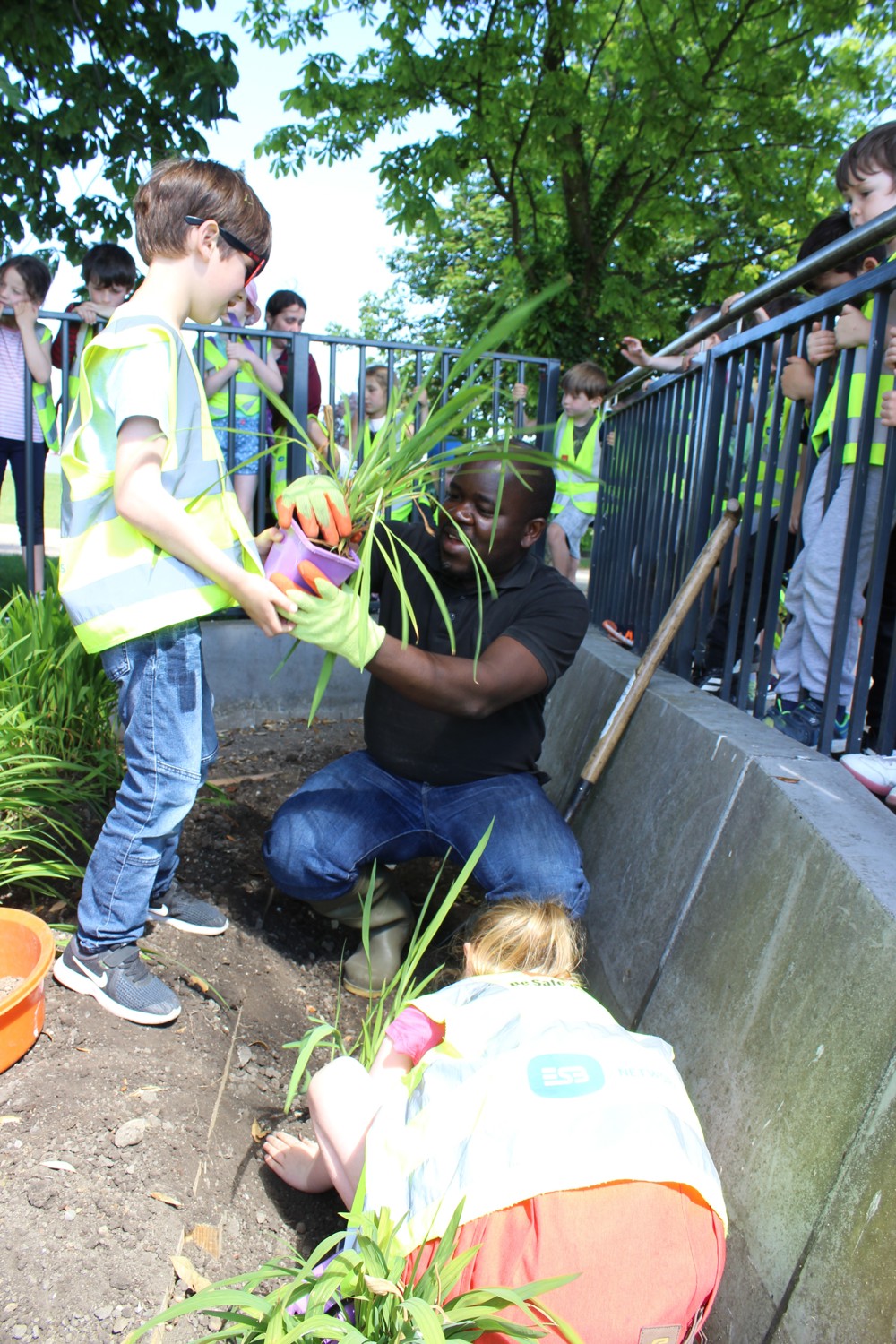 IMG 1264 E1535035188963