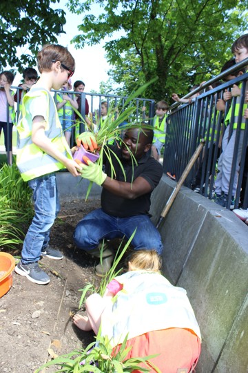 IMG 1264 E1535035188963