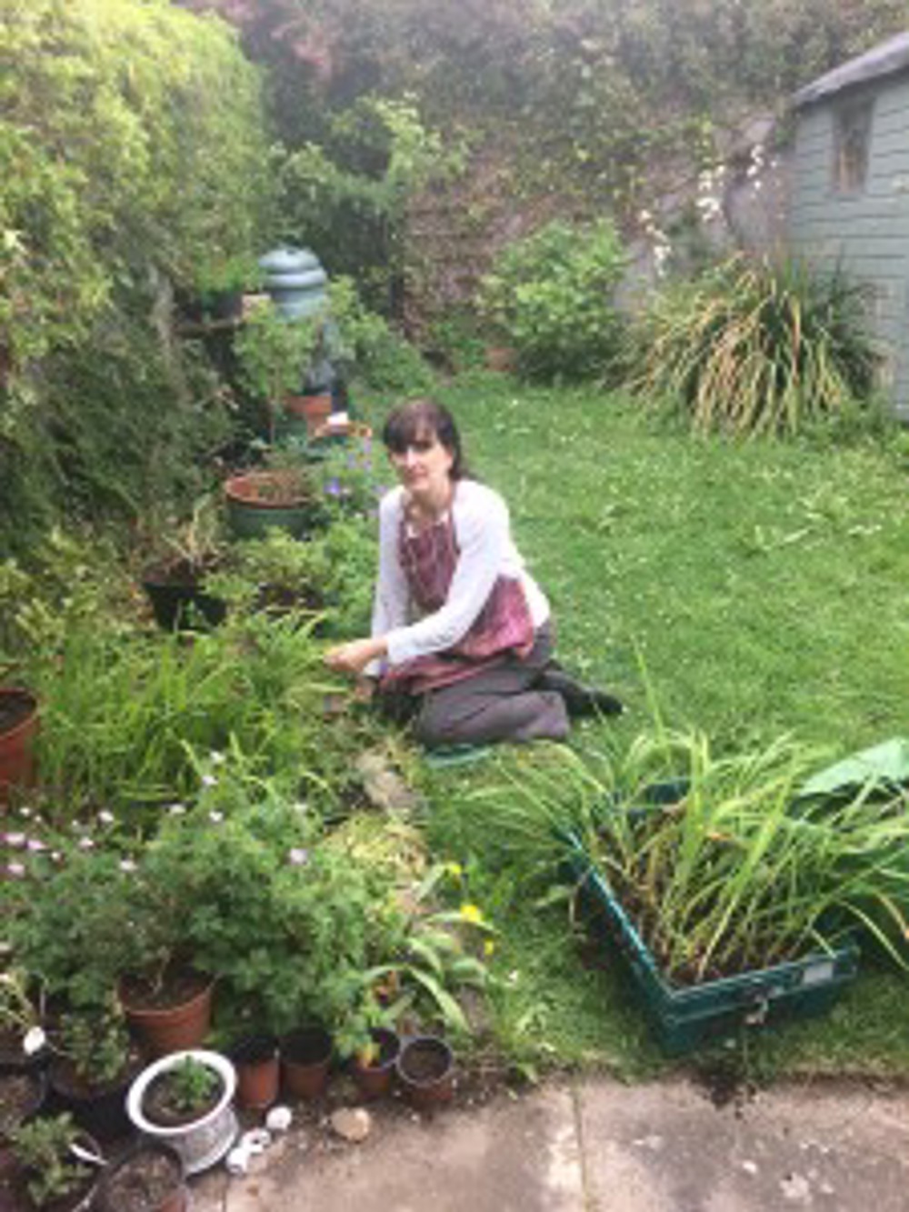 IMG 7109 E1535038012443 225X300