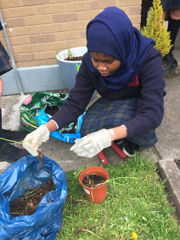 TY Student Planting E1535034520863