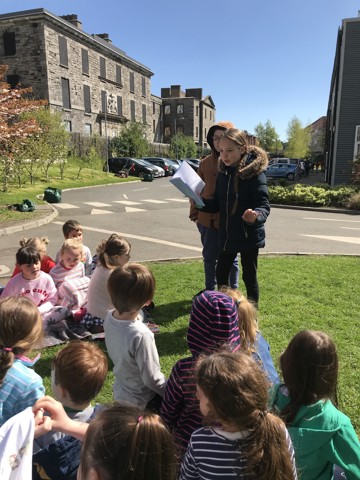 IMG 3624 E1535035211254