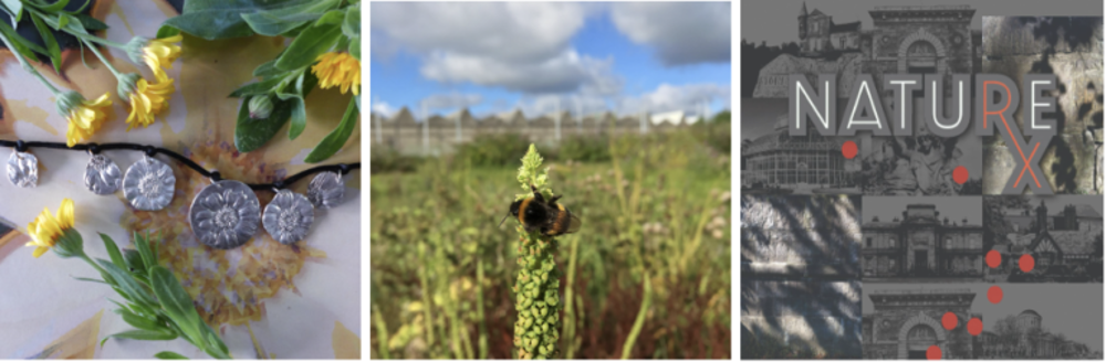 Screenshot 2023 01 30 At 9.58.29 AM 768X252 (2)